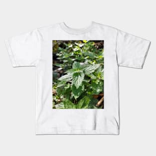 Nettle Kids T-Shirt